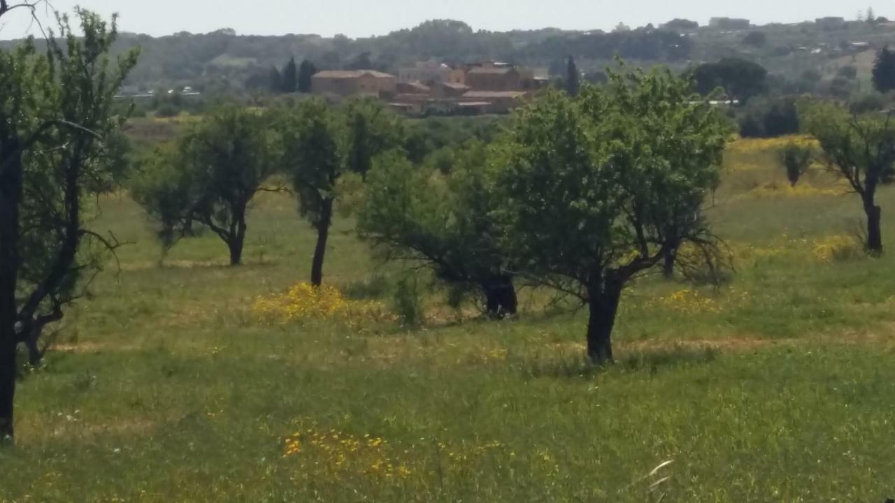 Vento Di Tramontana Bed & Breakfast Agrigento Exterior photo